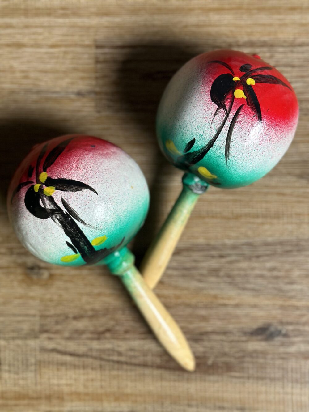 TOYS-GOURD MARACAS- (Multi color)